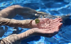 深航空姐不雅照曝光